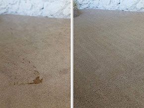 Carpet stain removal service