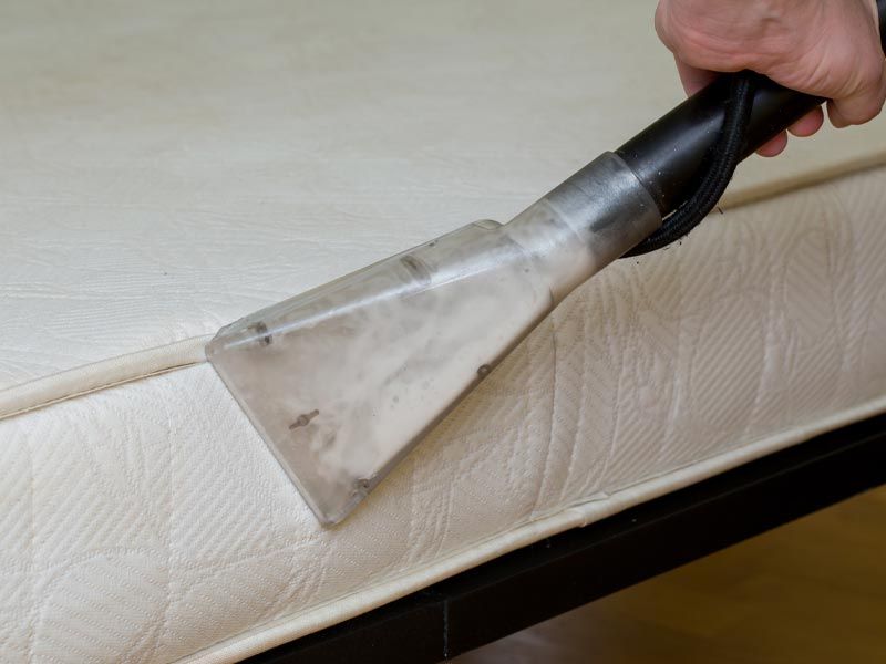 Mattress Cleaning Results