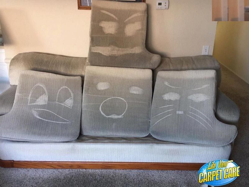 Couch Cleaning Results
