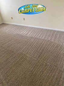Professional Carpet Cleaning Results