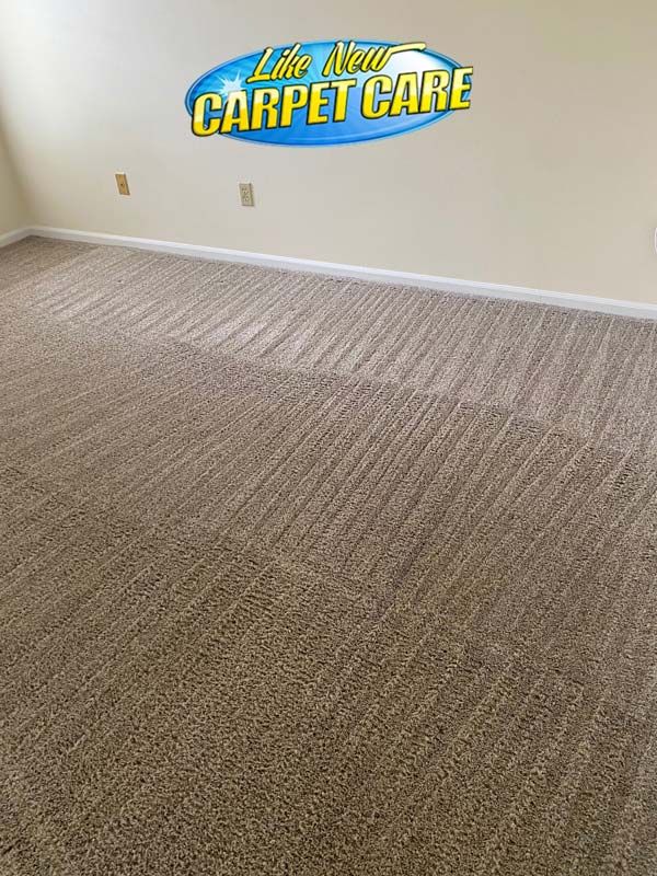 Carpet Cleaning Results