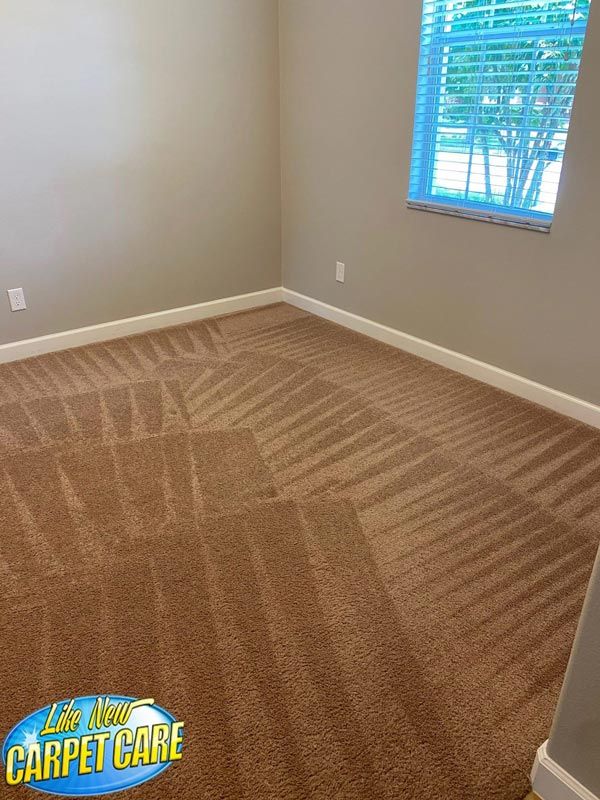 Carpet Cleaning Results